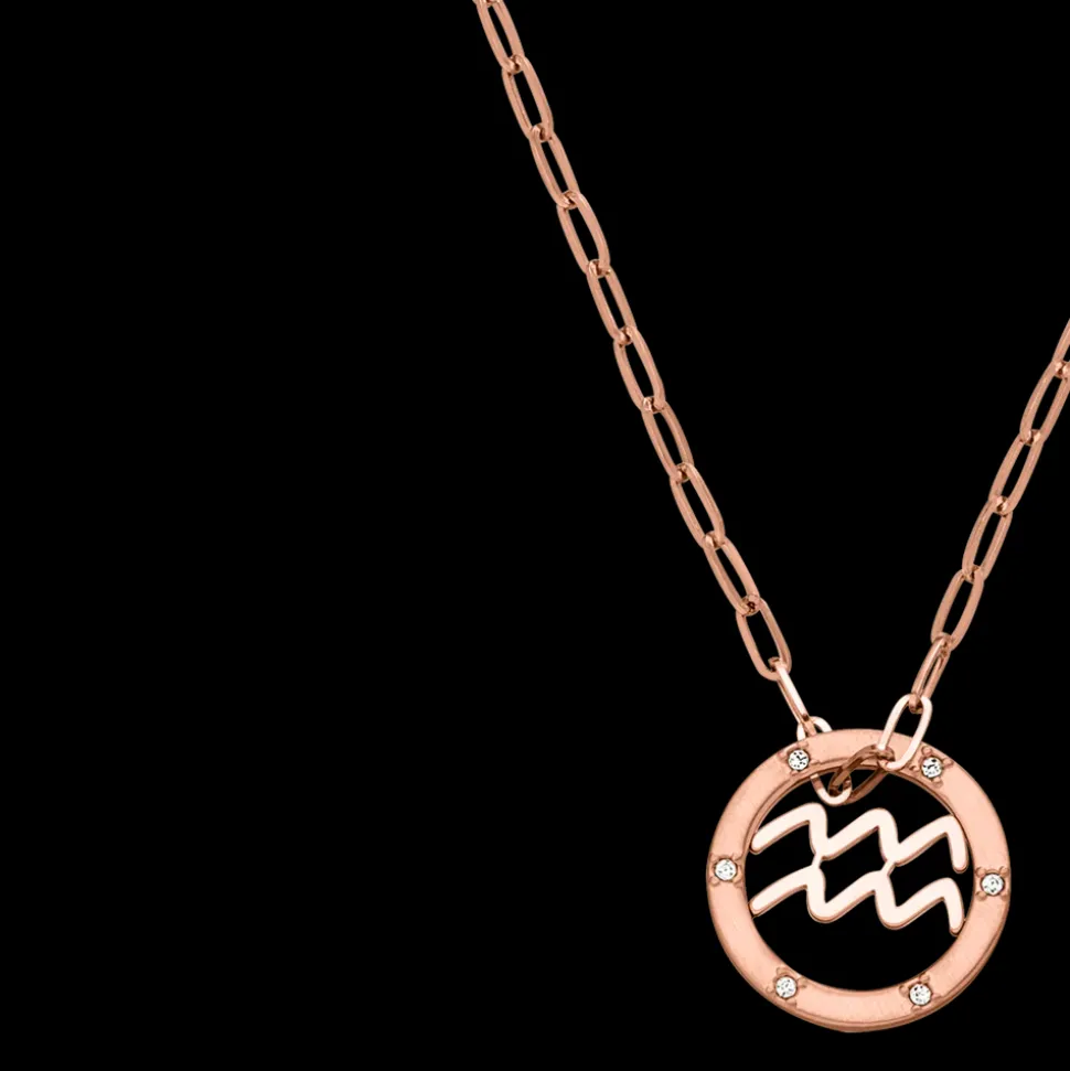 Aquarius Zodiac Symbol Necklace