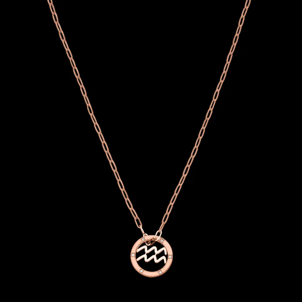 Aquarius Zodiac Symbol Necklace