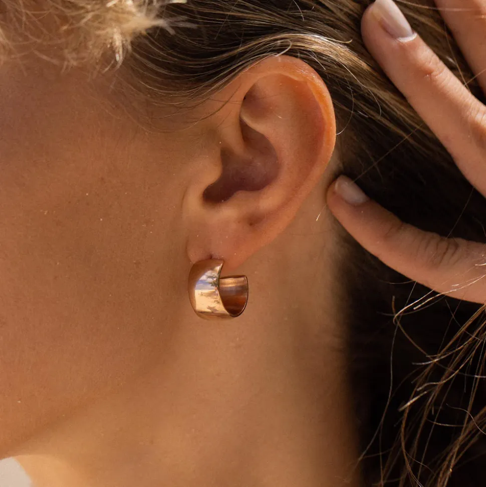 Bold Earrings