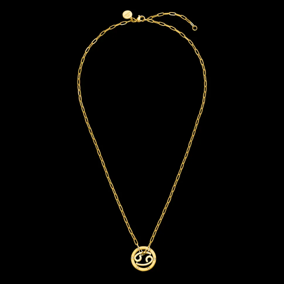 Cancer Zodiac Symbol Necklace
