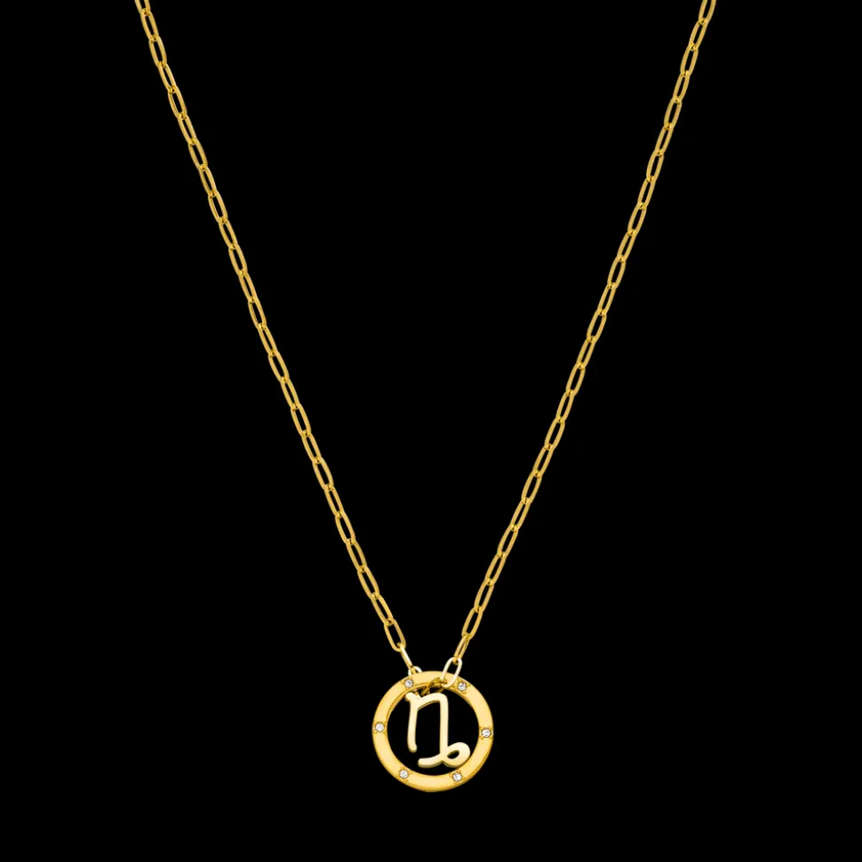 Capricorn Zodiac Symbol Necklace