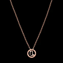 Capricorn Zodiac Symbol Necklace