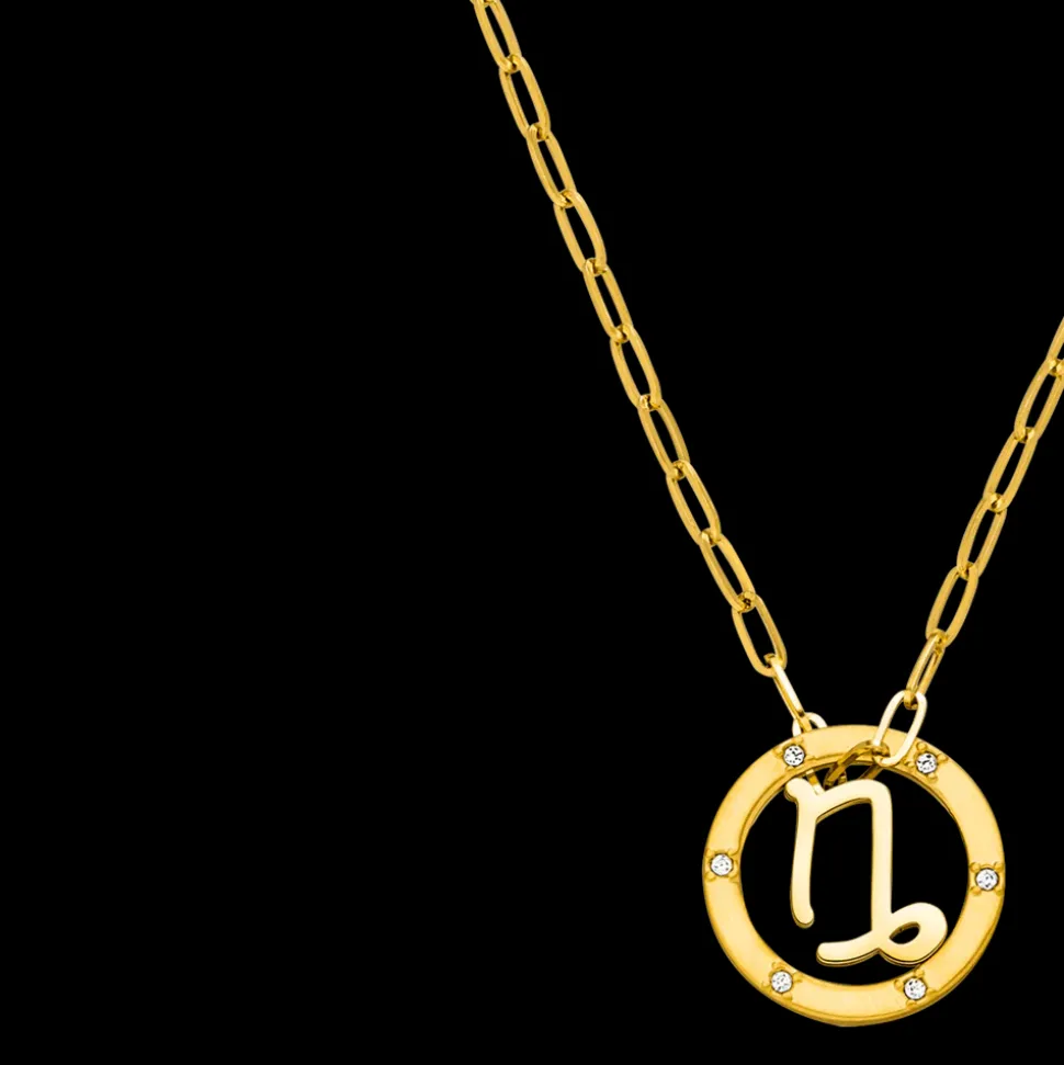 Capricorn Zodiac Symbol Necklace