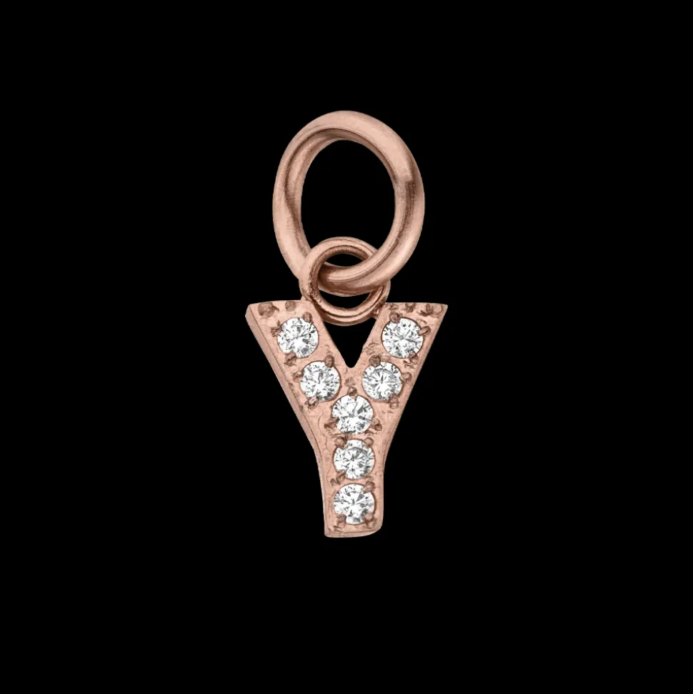 Charm Glitter Y