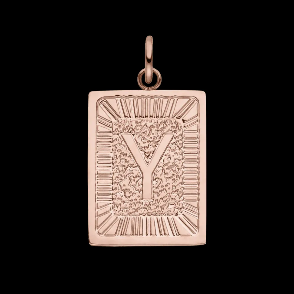 Charm Letter Y