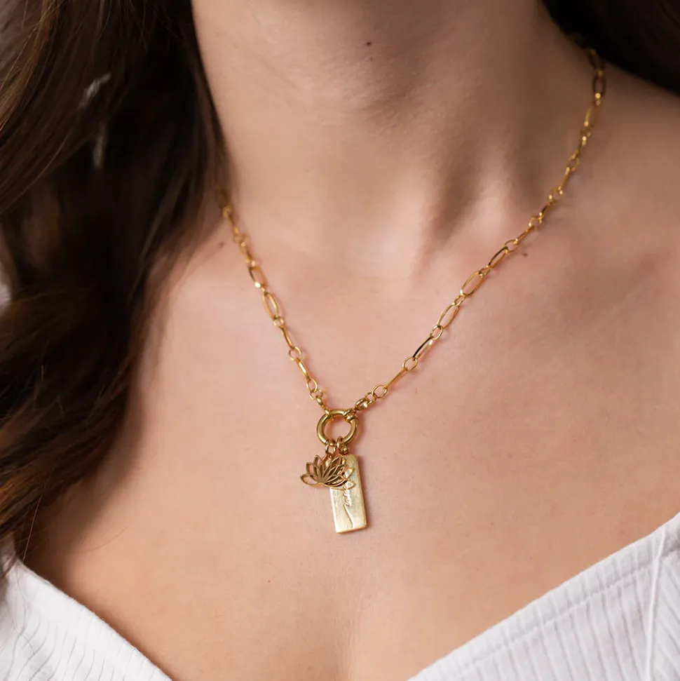 Charm Power