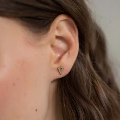 Earring P