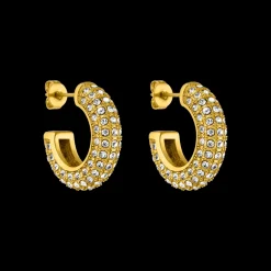 Earrings Big Glitter
