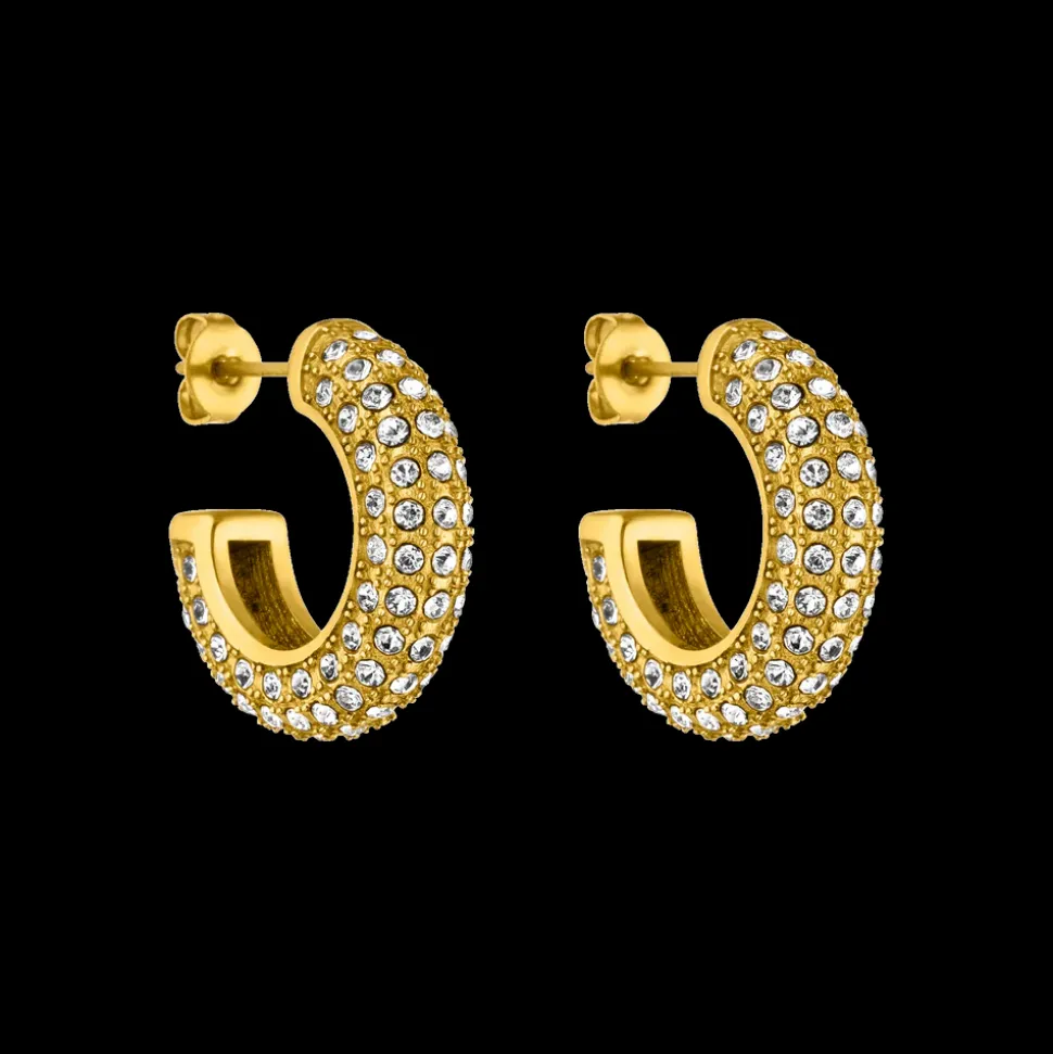 Earrings Big Glitter