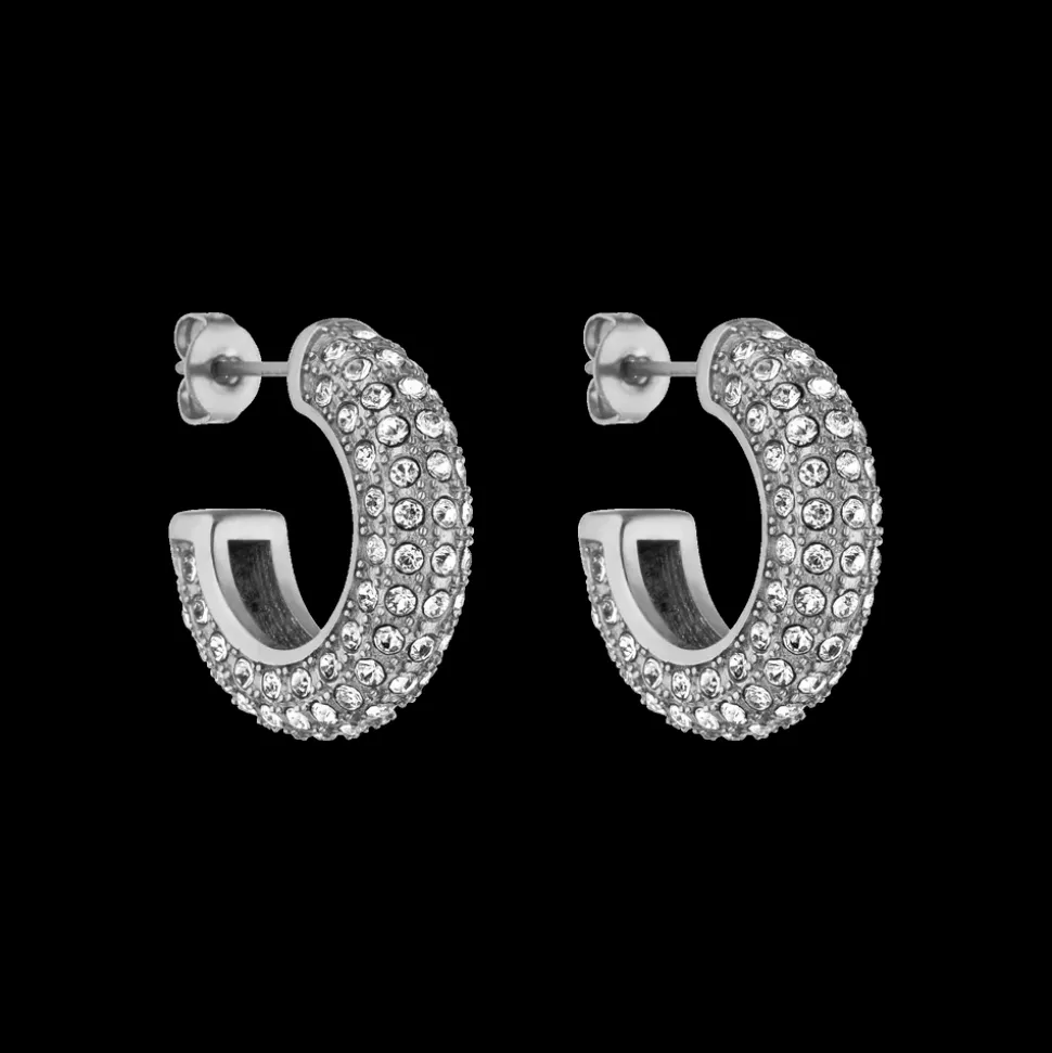 Earrings Big Glitter