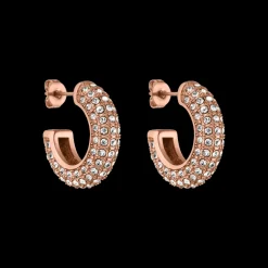 Earrings Big Glitter