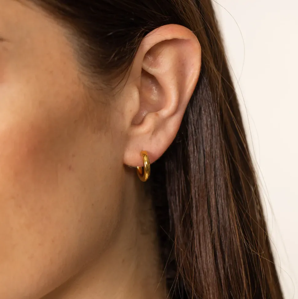 Earrings Brave