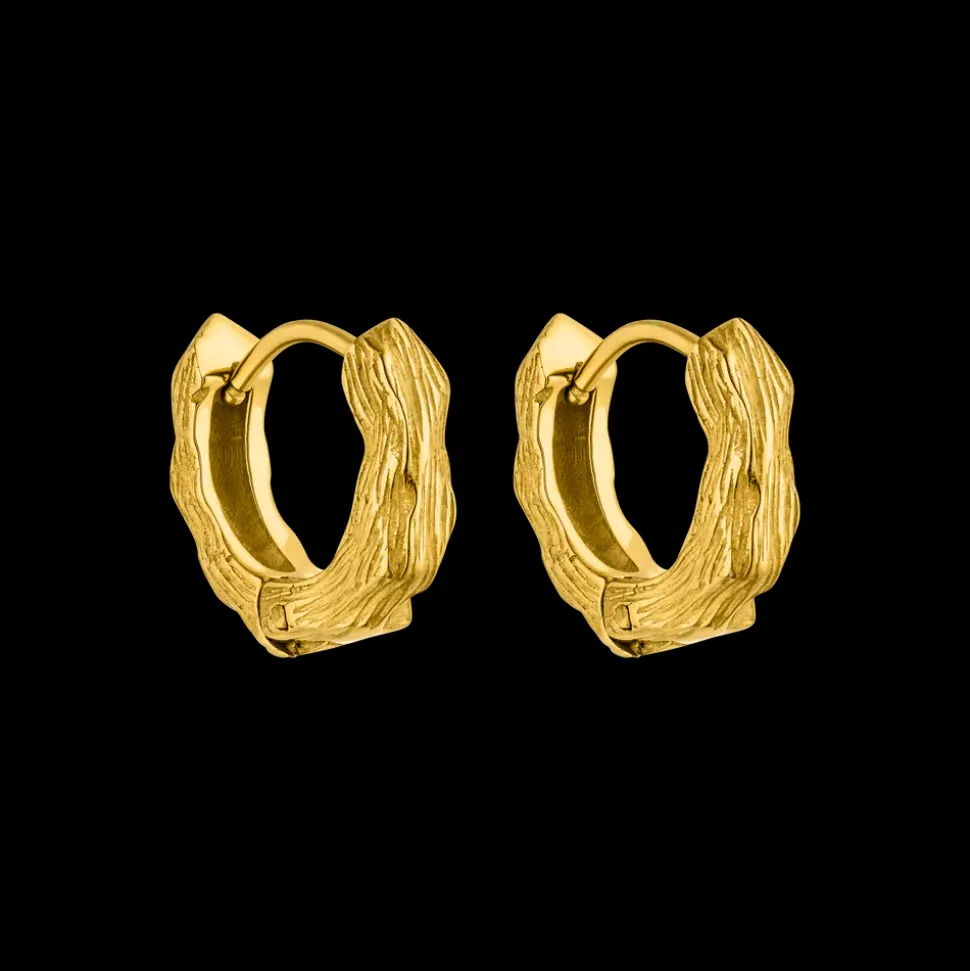 Earrings Brushed