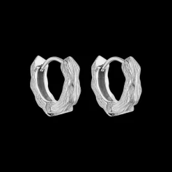 Earrings Brushed