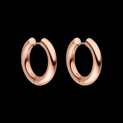 Earrings Glamorous