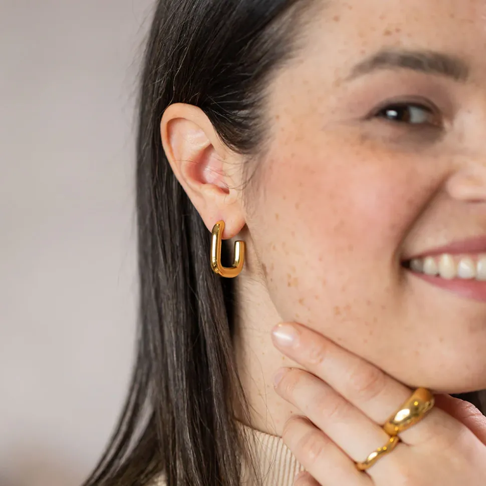 Earrings Hula
