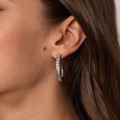 Earrings Pangolin