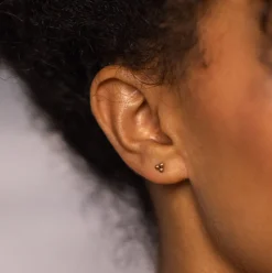 Earrings Plain
