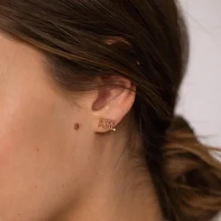 Earrings Polite