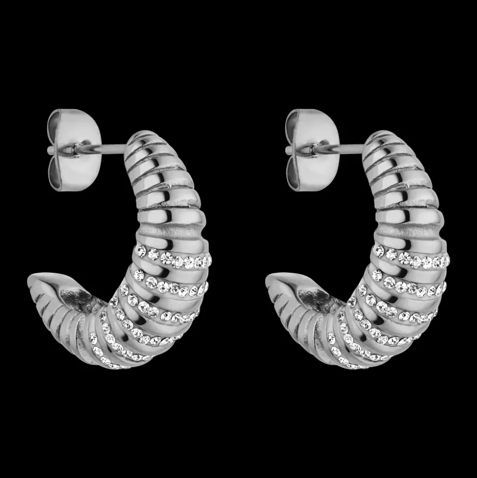Earrings Pure Sparkle
