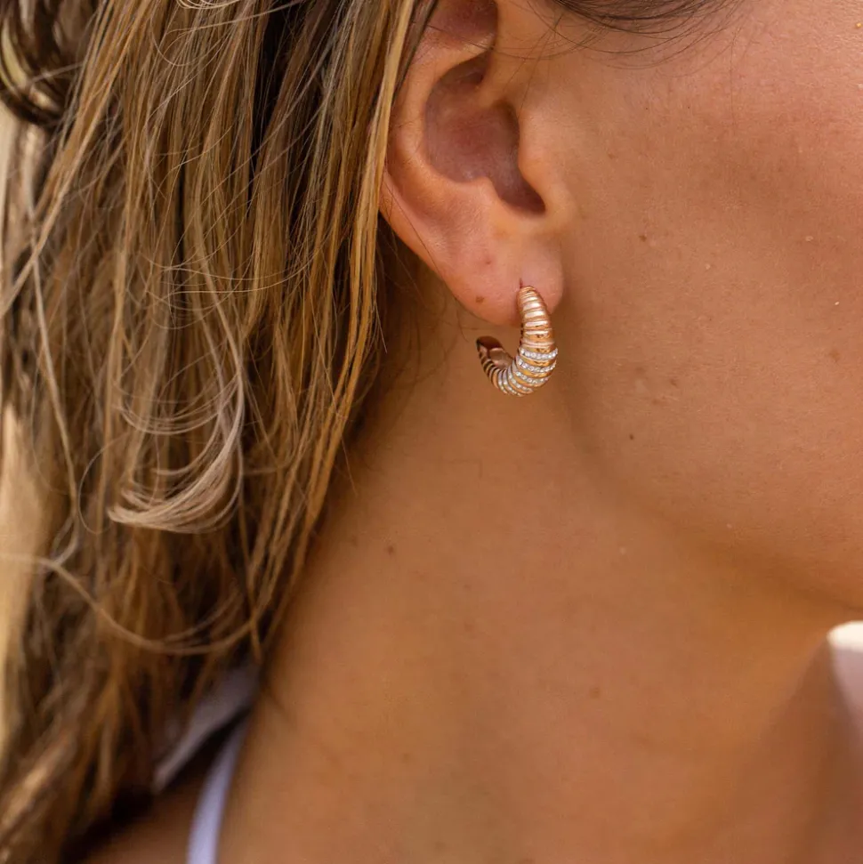 Earrings Pure Sparkle