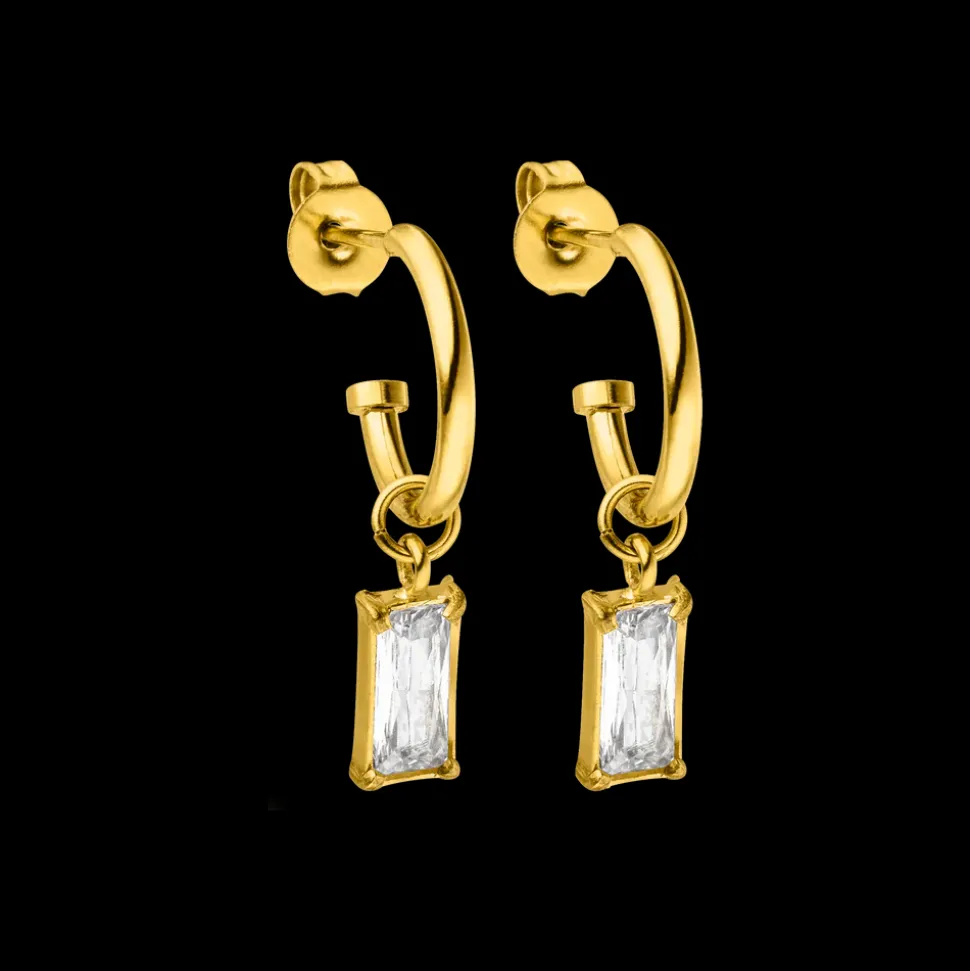 Earrings Shine Bright