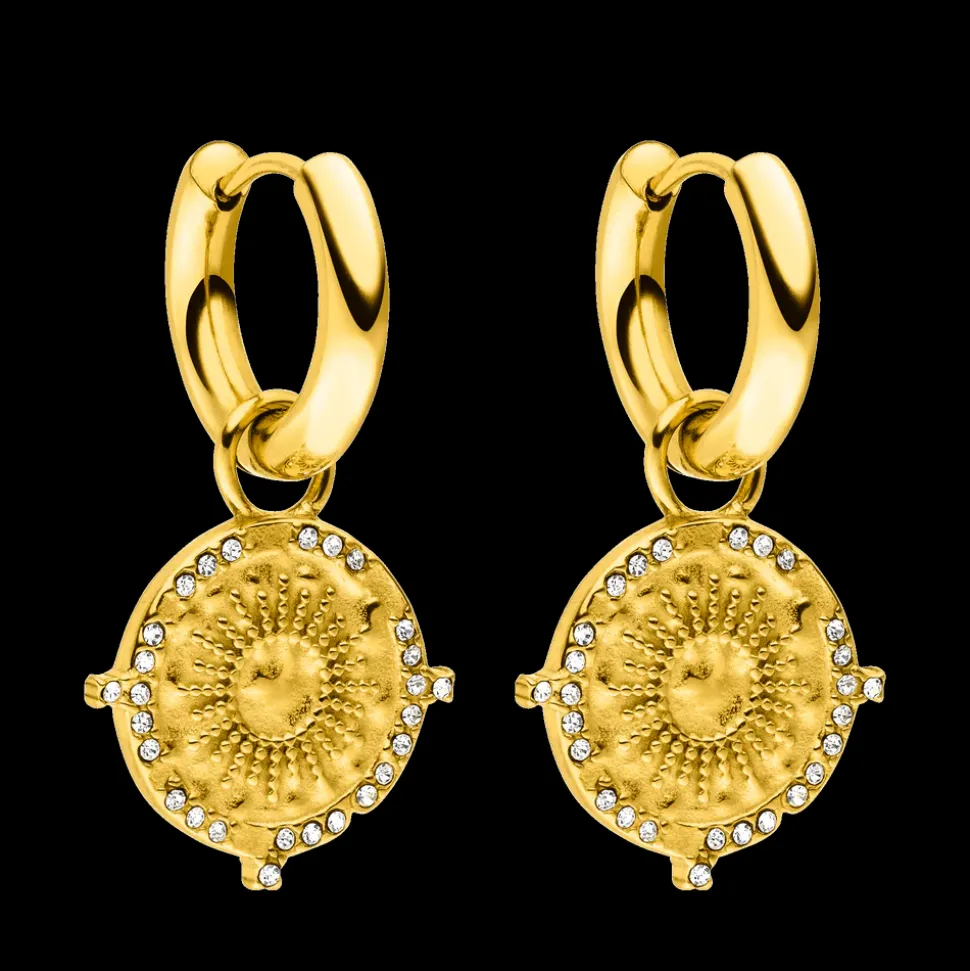 Earrings Treasure