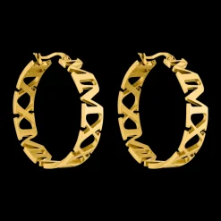 Earrings Vida