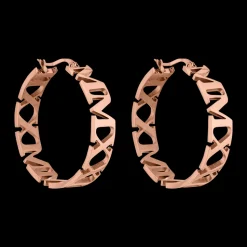Earrings Vida