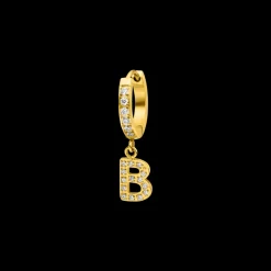Hoop Earring B
