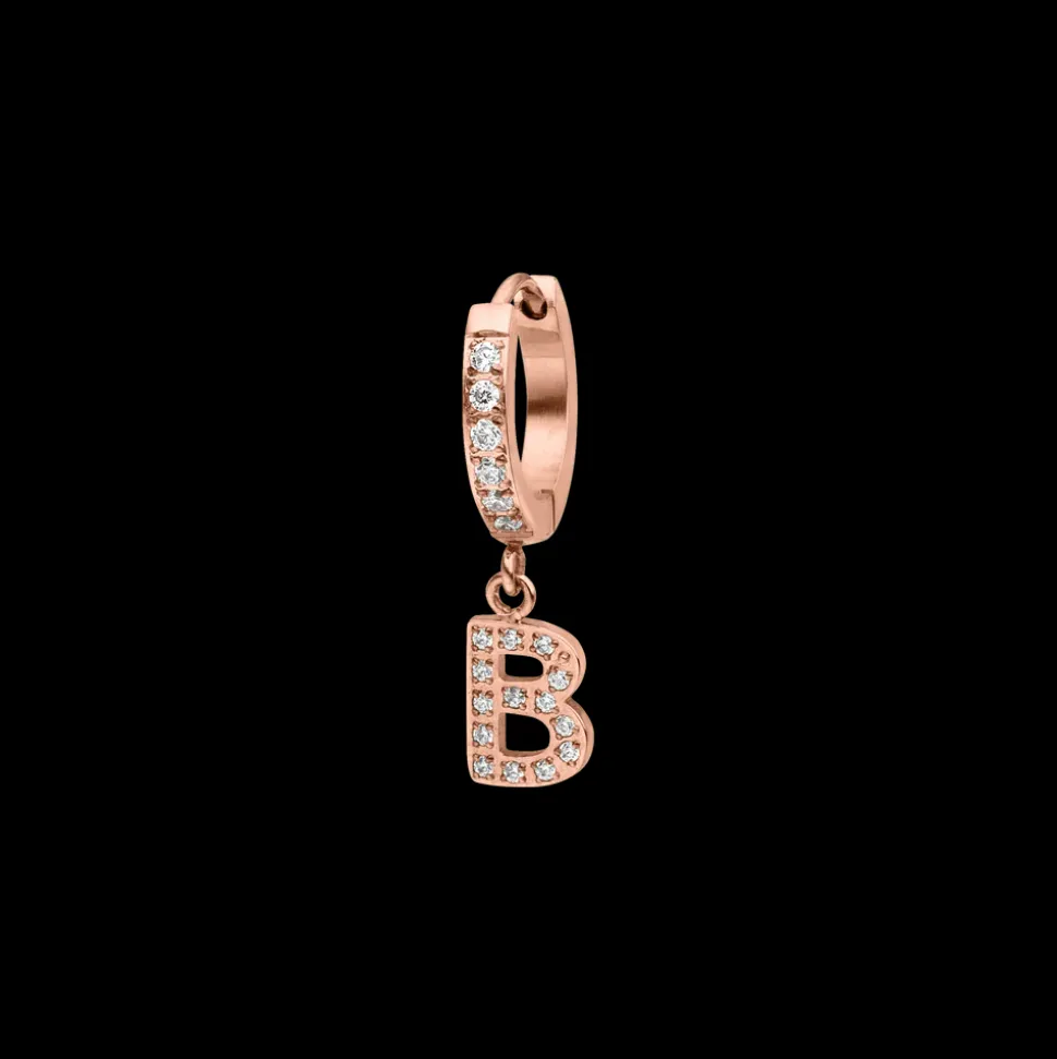 Hoop Earring B