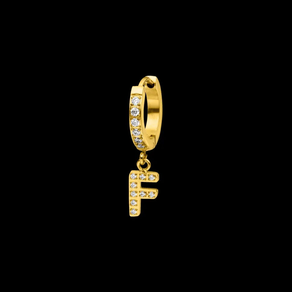 Hoop Earring F