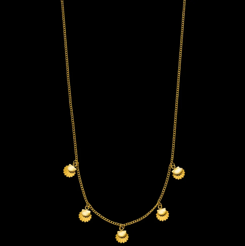 Kalea Shell Necklace