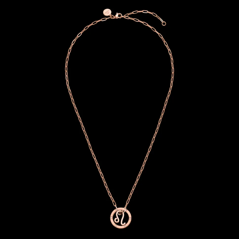 Leo Zodiac Symbol Necklace