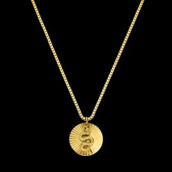 Necklace Snake Coin