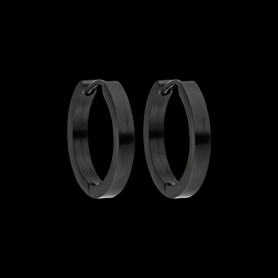 Night Earrings