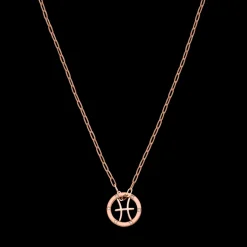 Pisces Zodiac Symbol Necklace