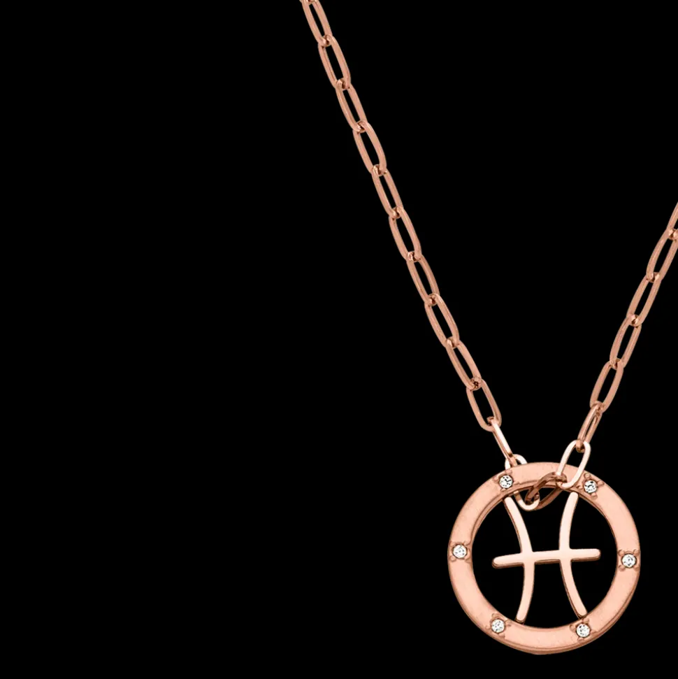 Pisces Zodiac Symbol Necklace