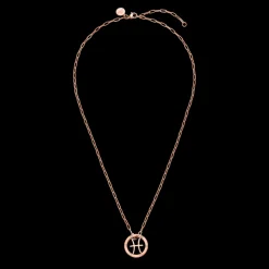 Pisces Zodiac Symbol Necklace