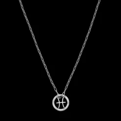 Pisces Zodiac Symbol Necklace