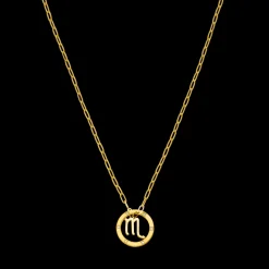 Scorpio Zodiac Symbol Necklace