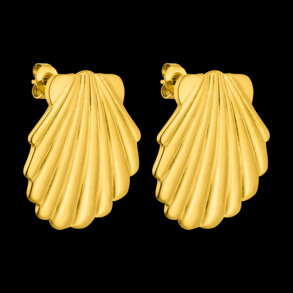Shell Earrings