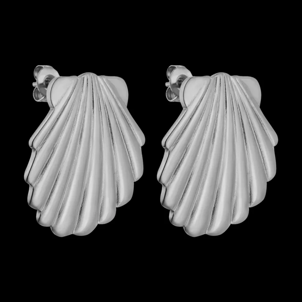 Shell Earrings