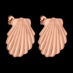 Shell Earrings