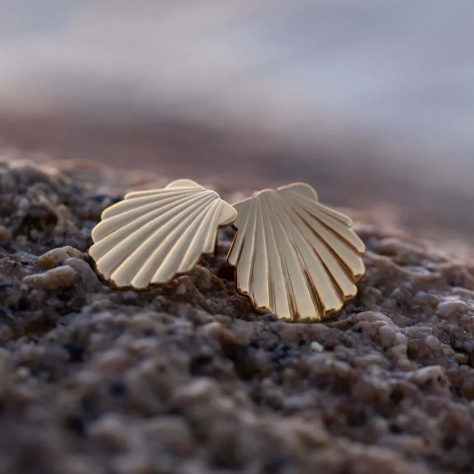 Shell Earrings