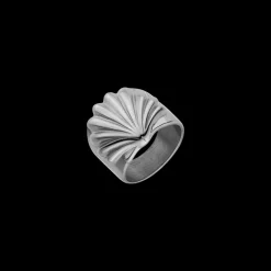 Shell Ring