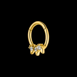 Shine Piercing