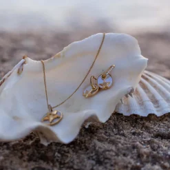 Starfish Earrings
