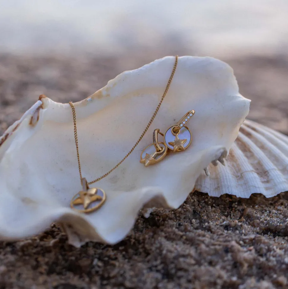 Starfish Earrings