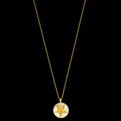 Starfish Necklace